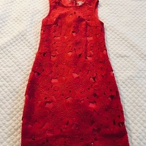 Hot Pink Lace Shift Dress